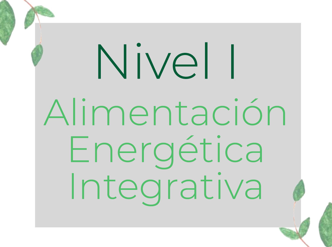 Alimentación Energética Integrativa